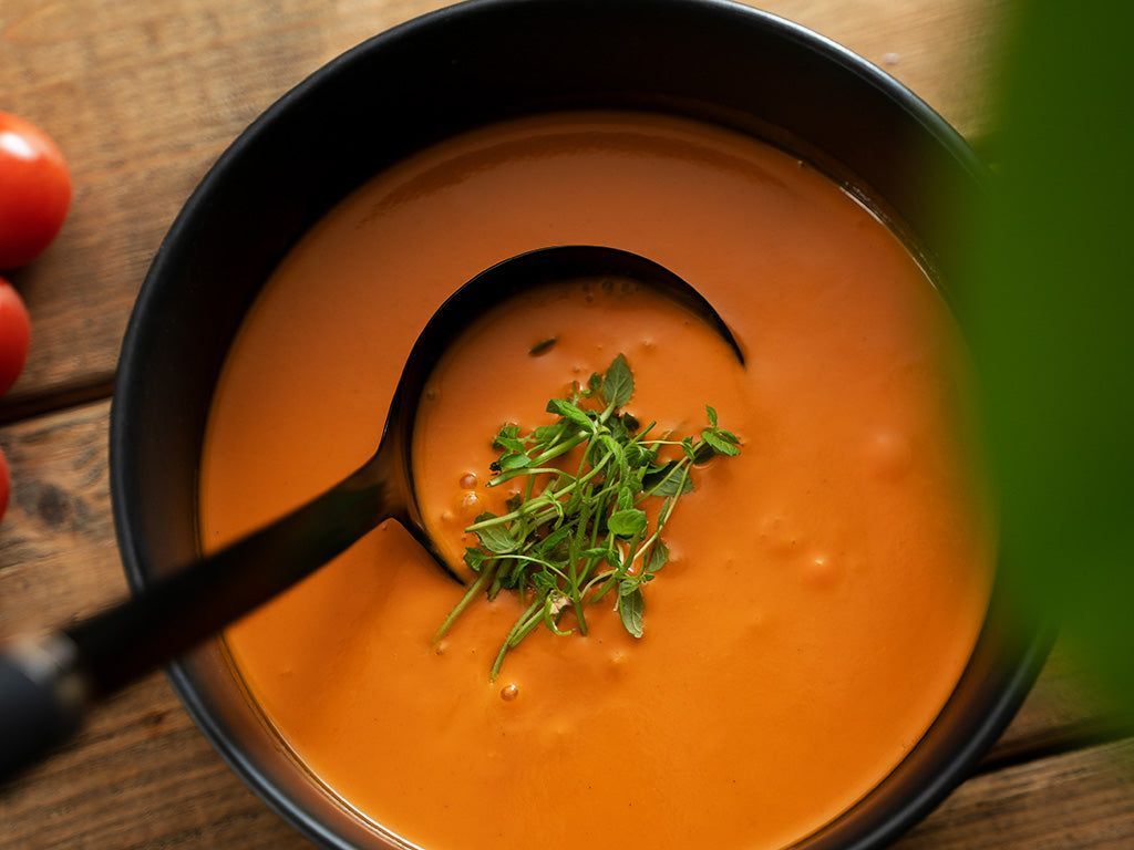 SOUP LADLE - 5