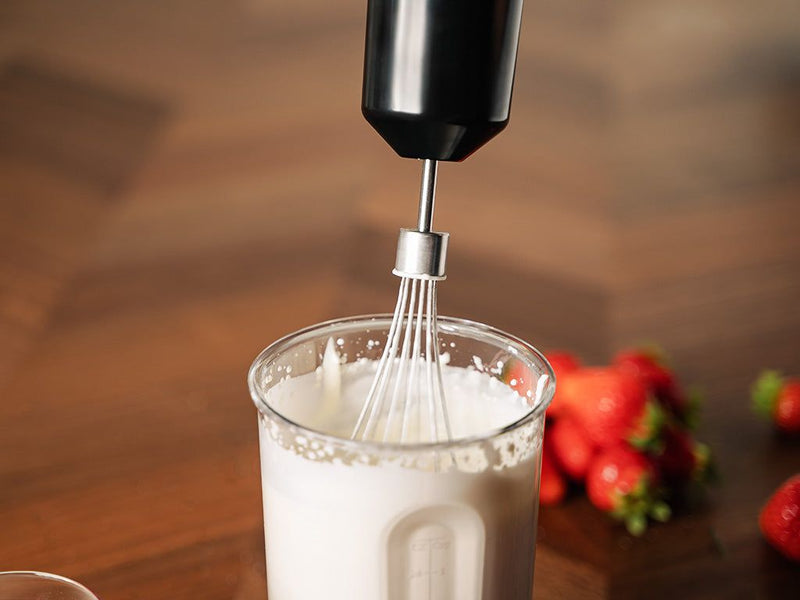 CORDLESS IMMERSION BLENDER WITH BATTERY