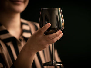 STAINLESS STEEL WINE GLASS SET 4-PC - 6