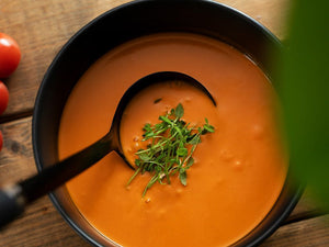 SOUP LADLE - 5