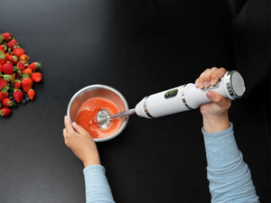 IMMERSION BLENDER - 6